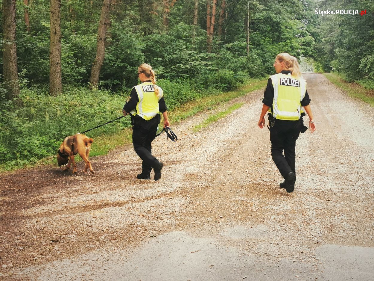 Obława na mordercę, Jacka Jaworka