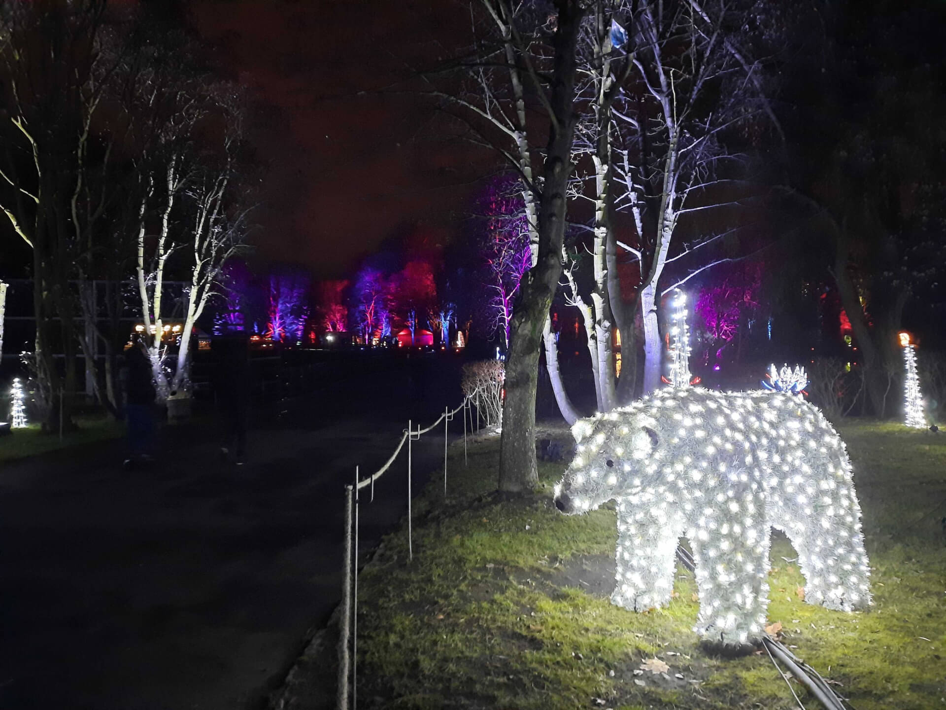 Christmas Garden zoo Chorzów 9