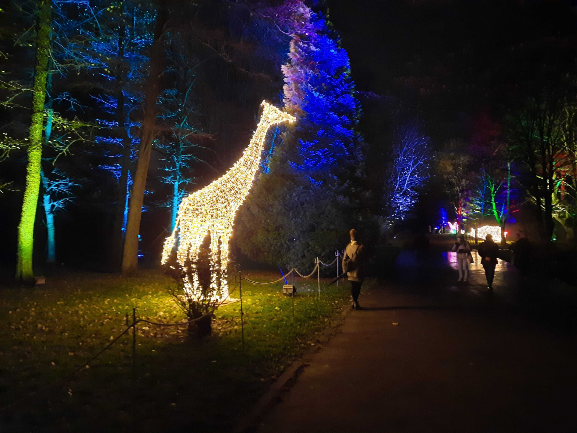 Christmas Garden zoo Chorzów