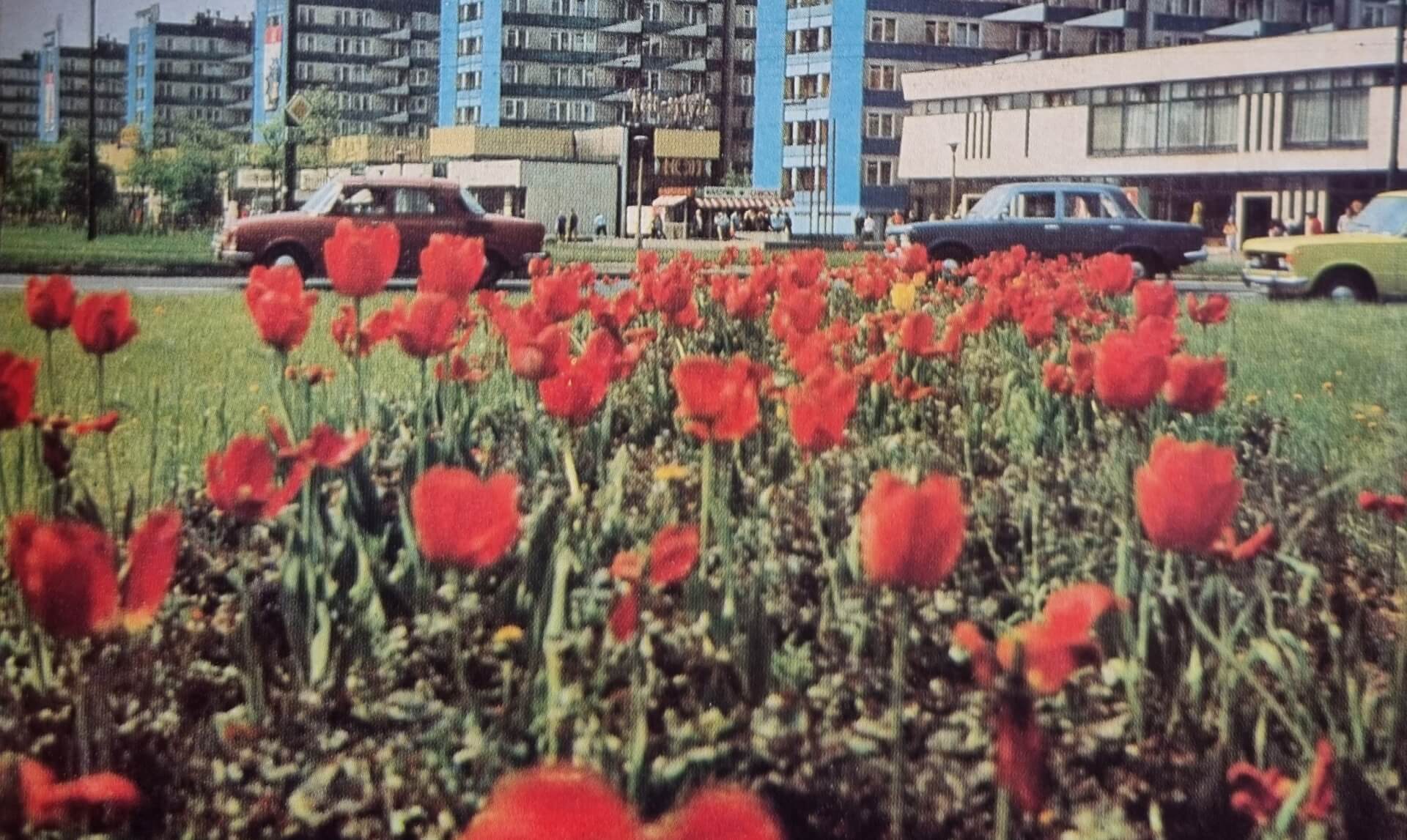 Katowice na przełomie lat 70. i 80. XX wieku