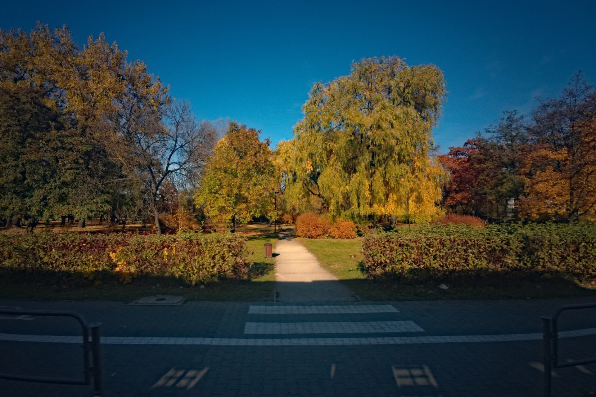 Katowice park Budnioka