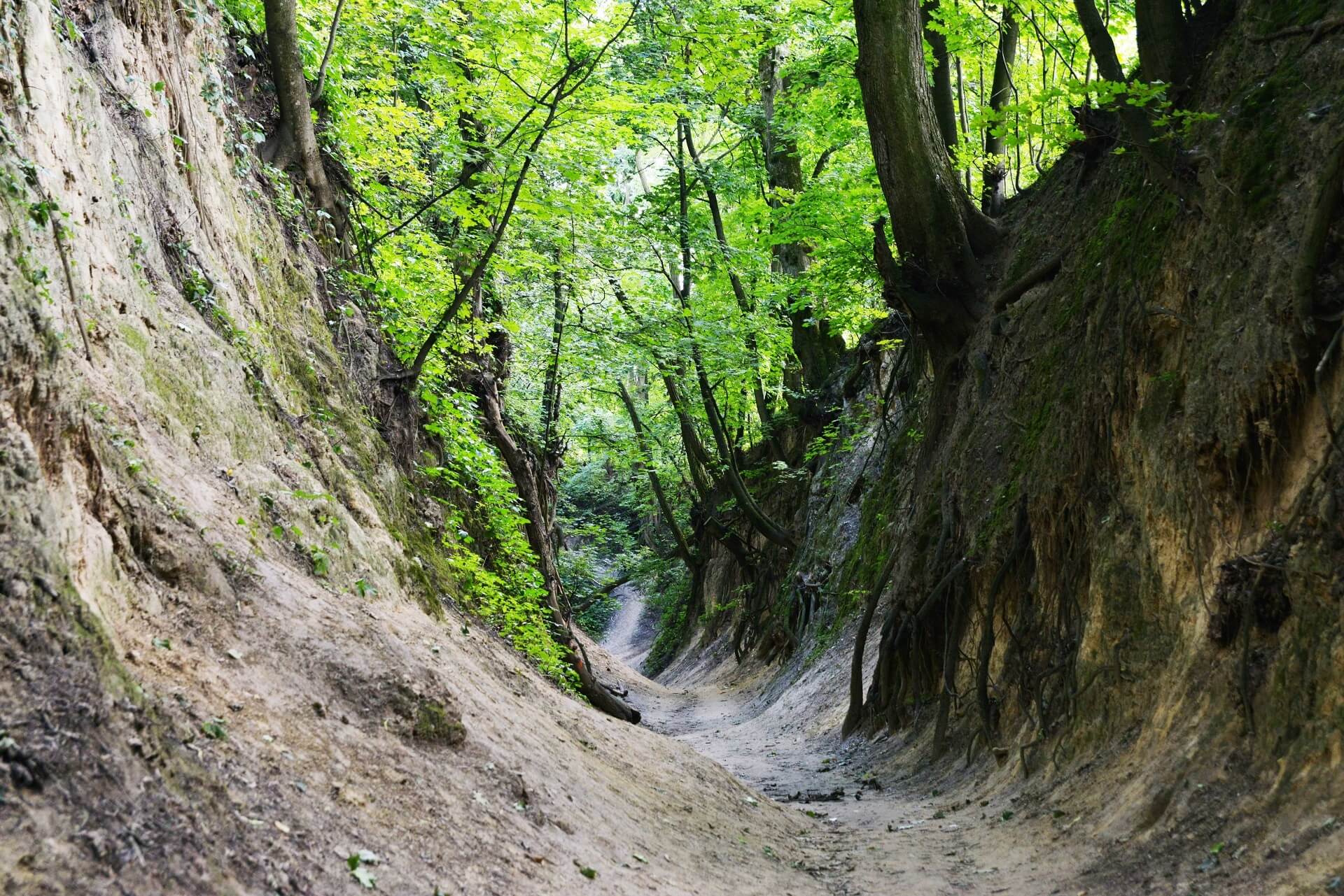 Sandomierz - miasto kameralnych przyjemności