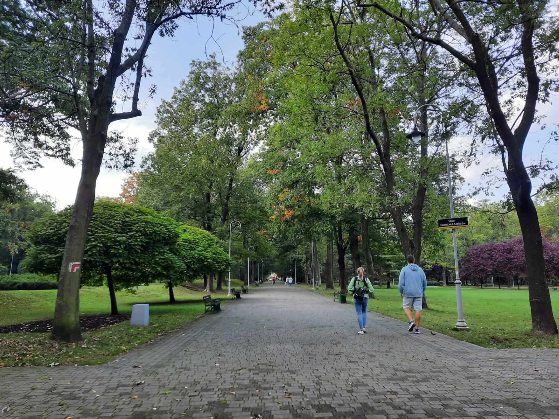 Park kosciuszki katowice 03