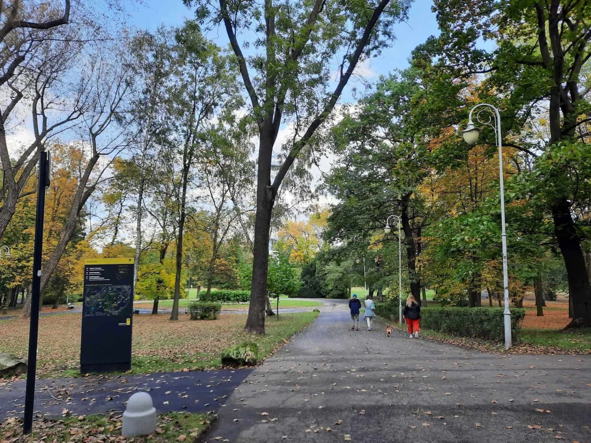 Park koszciuszki katowice