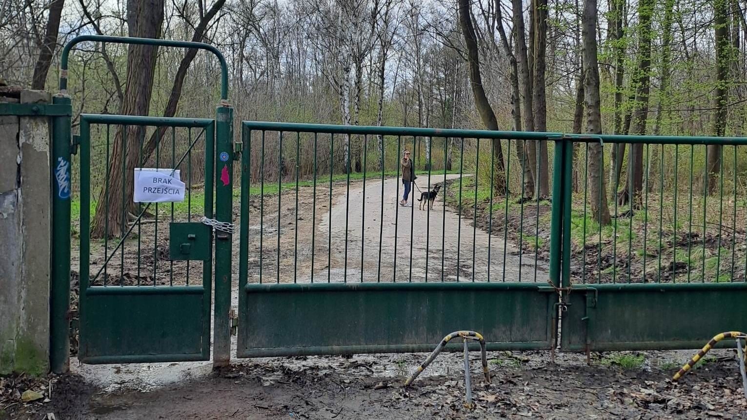 Wejscie park slaski 11