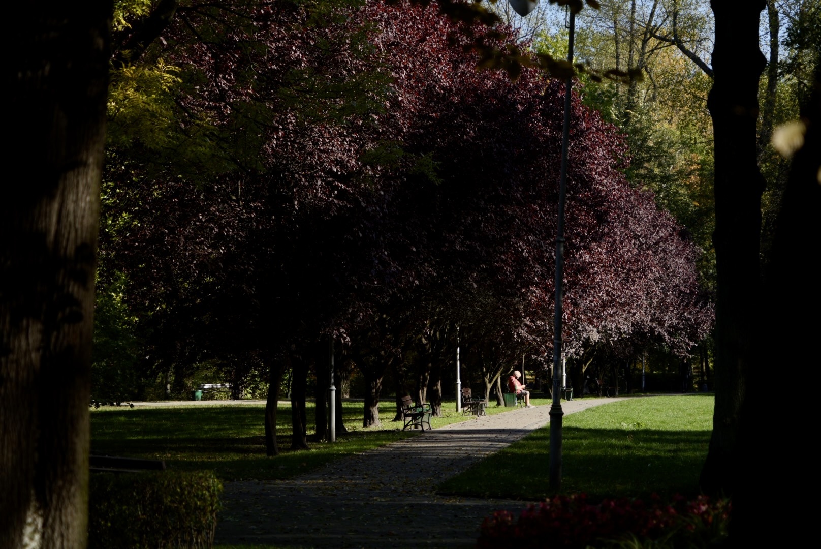 Park Kosciuszki jesien Katowice 3