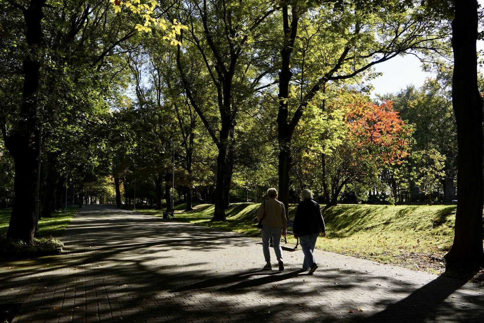 Park Kosciuszki jesien Katowice 5