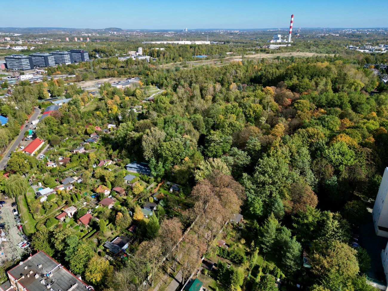 Park Welnowiec Katowice jesien 05