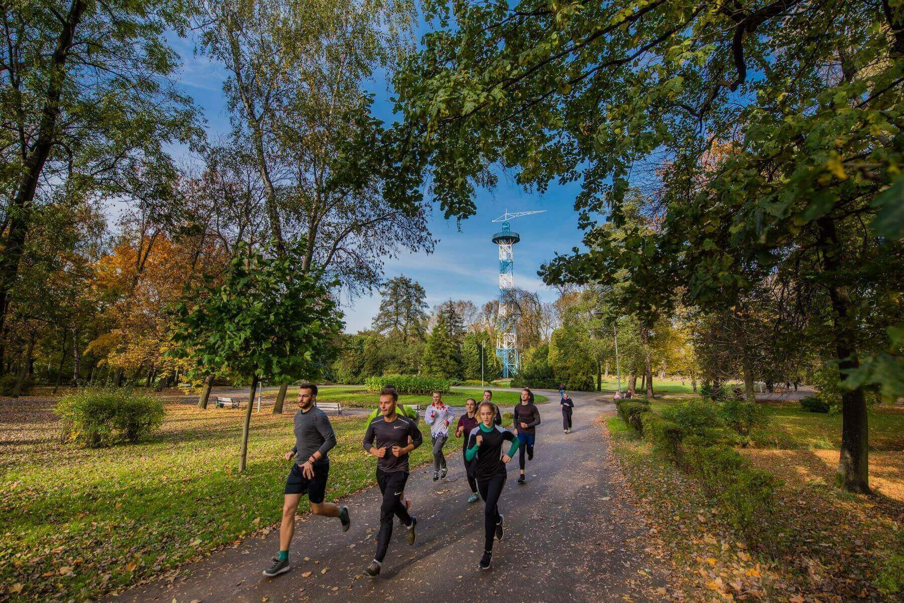 Katowicki parkrun