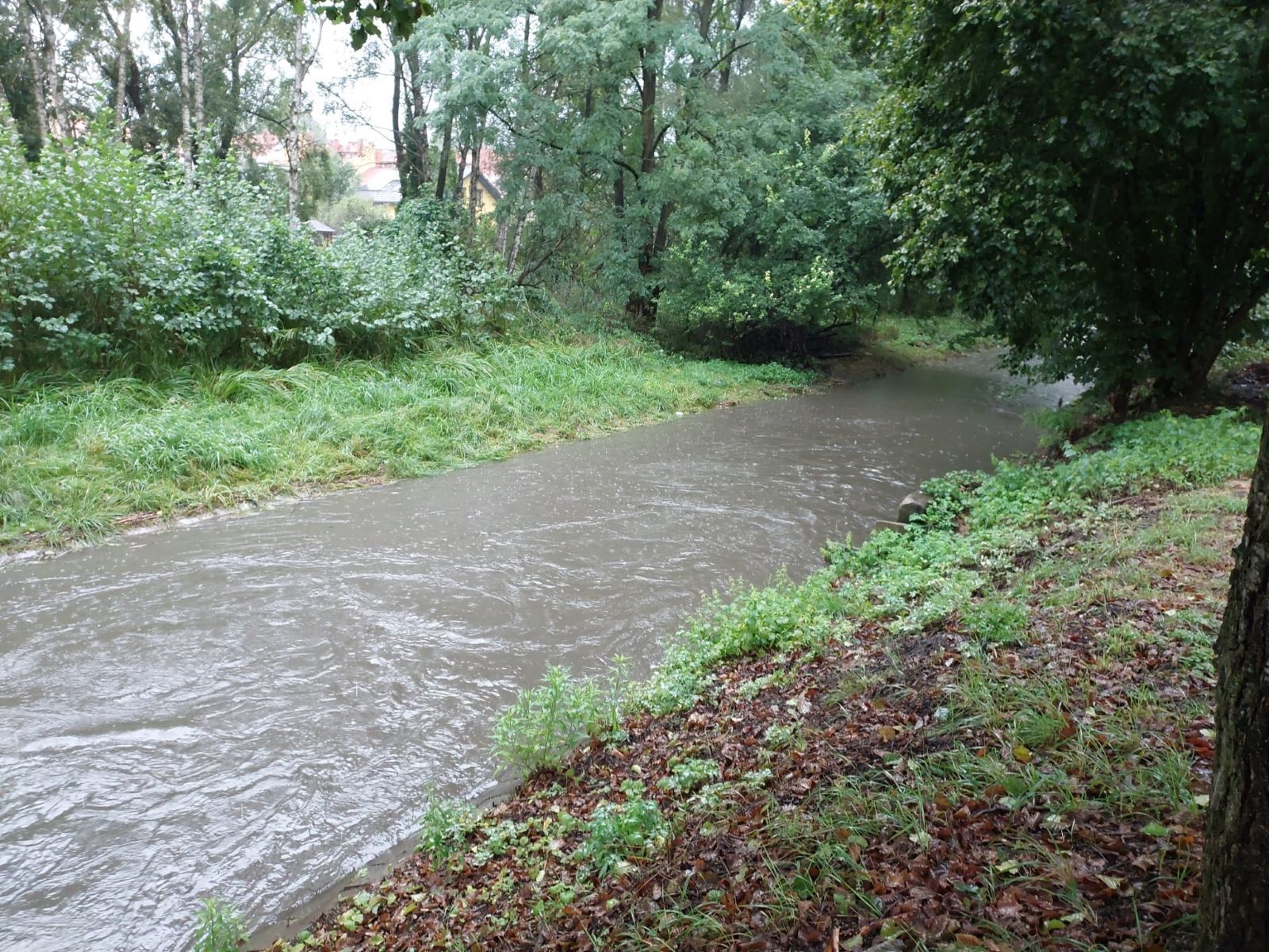 Kłodnica, Katowice, ul. Krucza