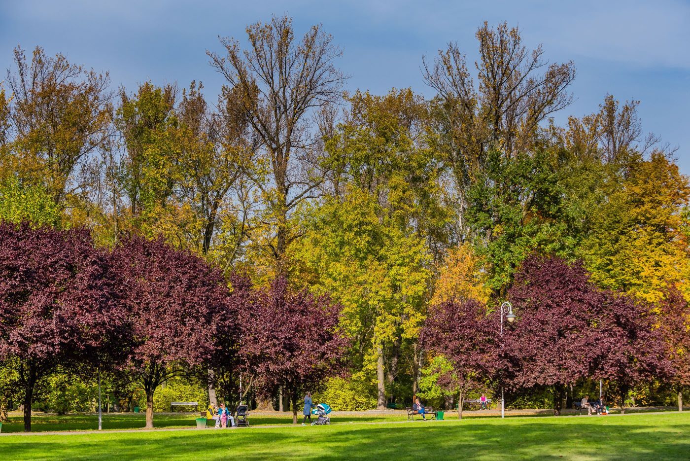 Park Kościuszki Katowice