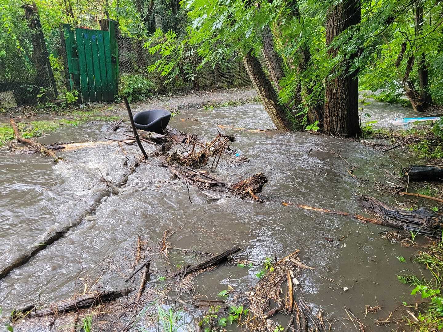 Ślepiotka, Katowice, 14.09 2024