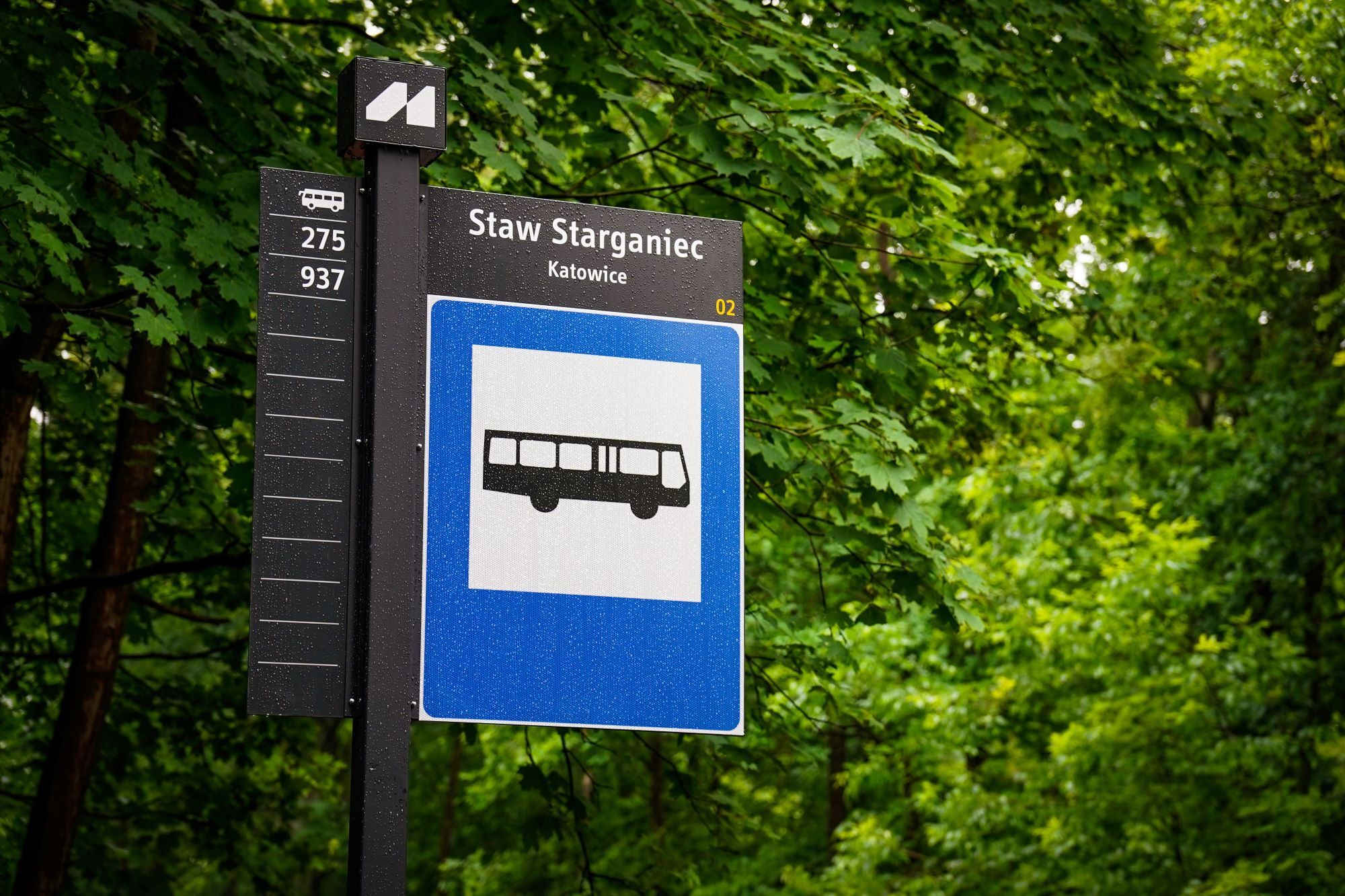 Starganiec autobus