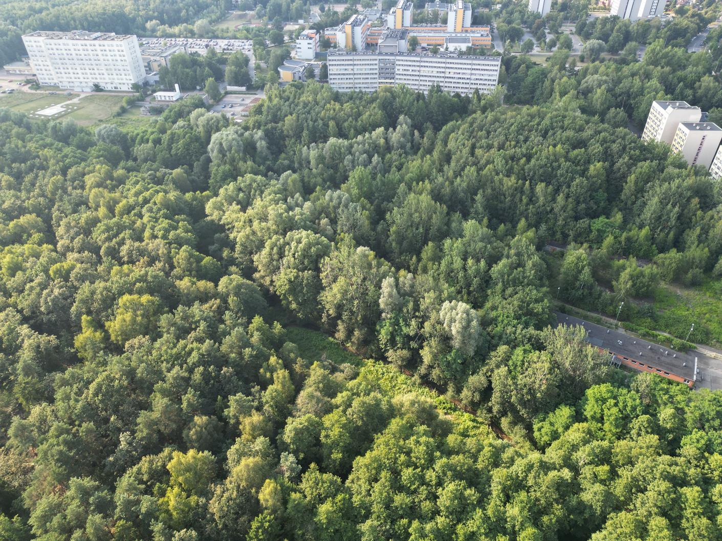 Teren centrum fizjoterapii katowice ligota 10