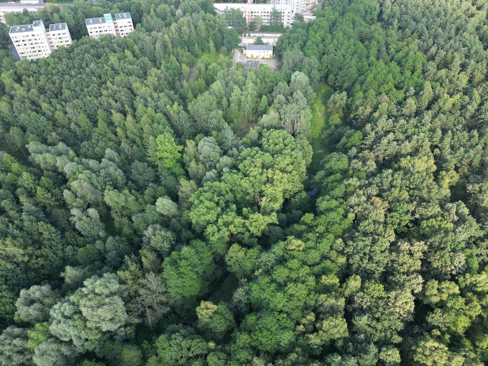 Teren centrum fizjoterapii katowice ligota 6