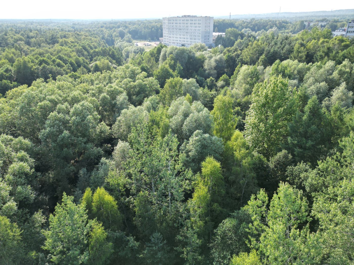 Teren centrum rehabilitacji SUM