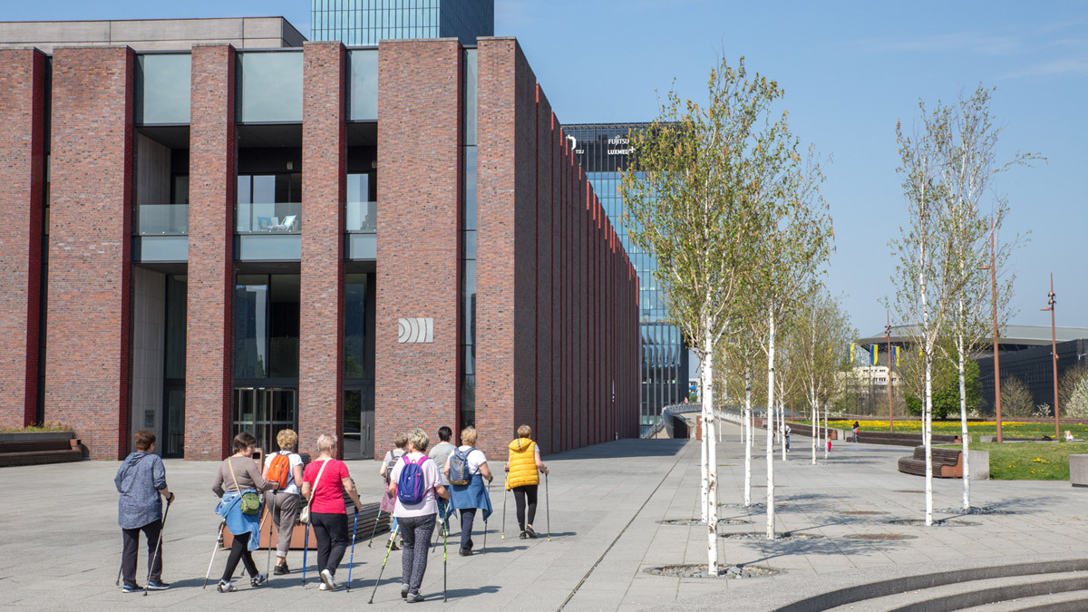 Zajęcia ruchowe dla seniorów - fot. UM Katowice